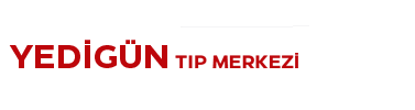 Yedigün logo